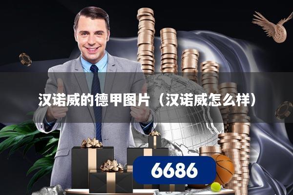 汉诺威的德甲图片（汉诺威怎么样）